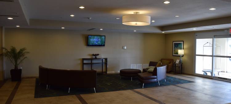 Candlewood Suites 莫纳汉斯 IHG 旗下(Candlewood Suites Monahans)图片