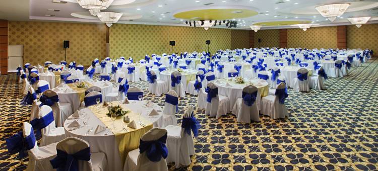 埃尔比勒市中心德德曼酒店(Dedeman Erbil Hotel City Center)图片