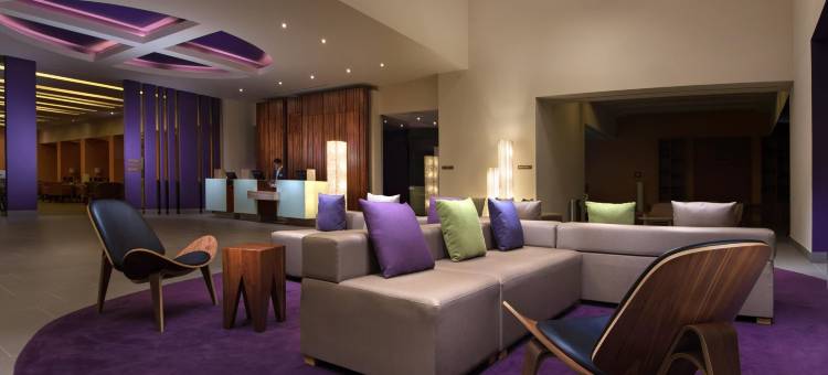 蒙特雷机场希尔顿花园酒店(Hilton Garden Inn Monterrey Airport)图片