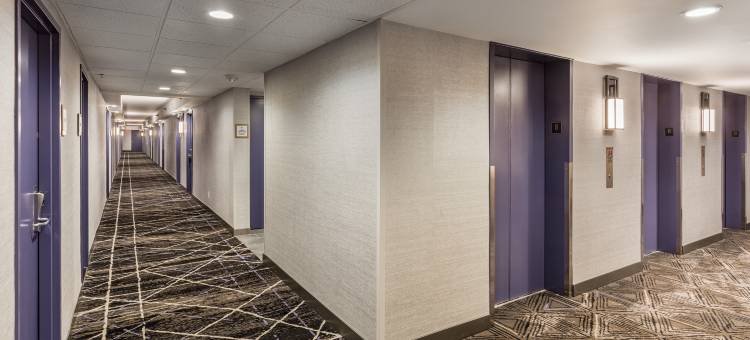 登洛杉矶西部福朋喜来登酒店(Four Points by Sheraton Los Angeles Westside)图片