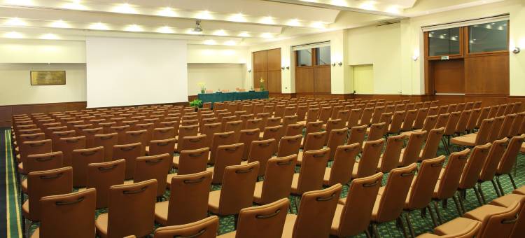 星际商务宫殿酒店(Starhotels Business Palace)图片