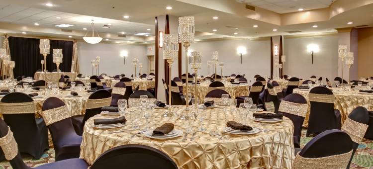 Holiday Inn & Suites 温莎(大使桥) by IHG(Holiday Inn & Suites Windsor (Ambassador Bridge) by IHG)图片