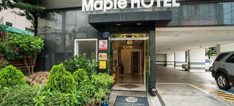 枫树酒店(Hotel Maple)图片