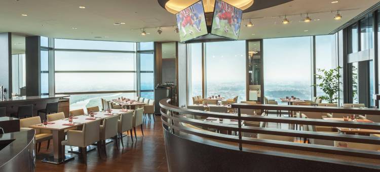 东急二子玉川卓越大酒店(Futakotamagawa Excel Hotel Tokyu)图片
