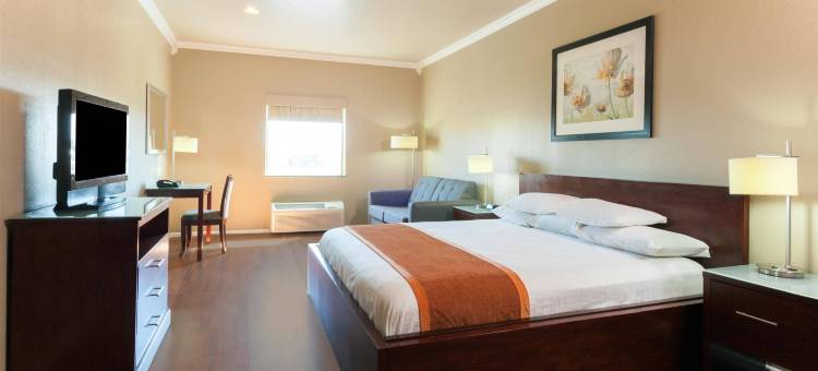 孤星旅馆及套房(Lone Star Inn & Suites)图片