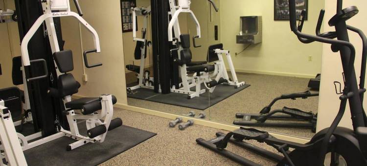 金顶旅馆(Gold Vault Inn)图片