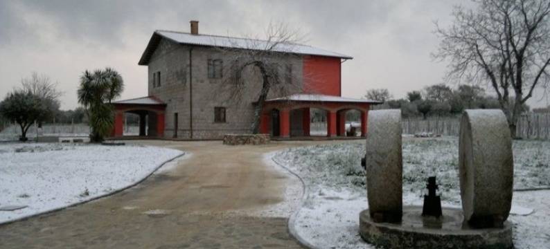 马瑟李雅卡姆皮耶尔蒂酒店(Agrituirsmo Masseria Campierti)图片
