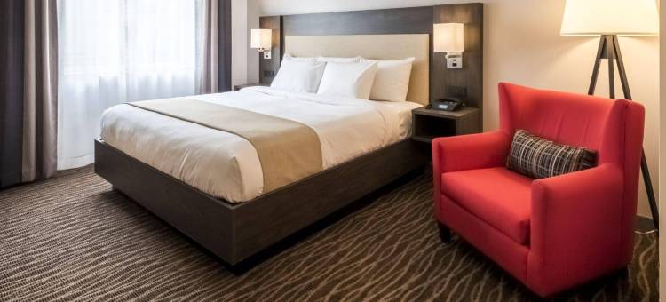 罗彻斯特-皮茨福德/布莱顿丽怡酒店(Country Inn & Suites by Radisson, Rochester-Pittsford/Brighton, NY)图片