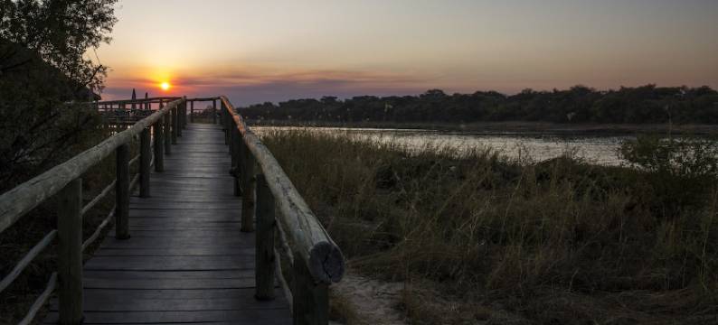 冈瓦纳哈库森河旅馆(Gondwana Hakusembe River Lodge)图片