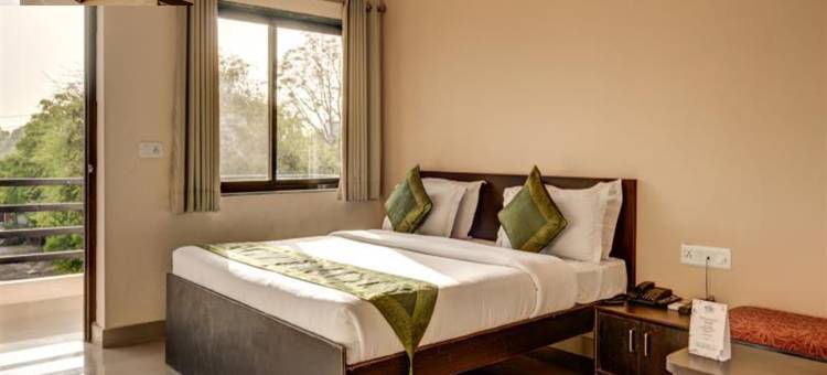 乌代布尔经典公园酒店(The Park Classic Udaipur)图片