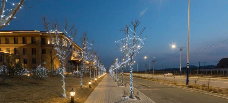 兰州新区敦湖酒店(中川机场店)图片