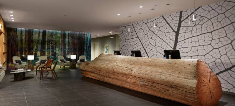 帕拉多克斯酒店 - 傲途格精选(Hotel Paradox, Autograph Collection)图片