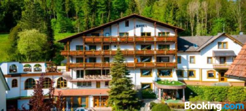 豪兹舒赫舒瓦尔德酒店(Holzschuhs Schwarzwaldhotel)图片