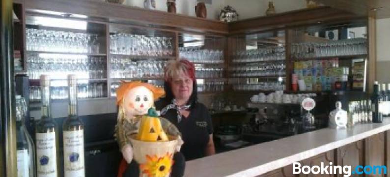 盖尔耶城堡酒店加餐厅(Györgyey Kastély Panzió és Étterem)图片