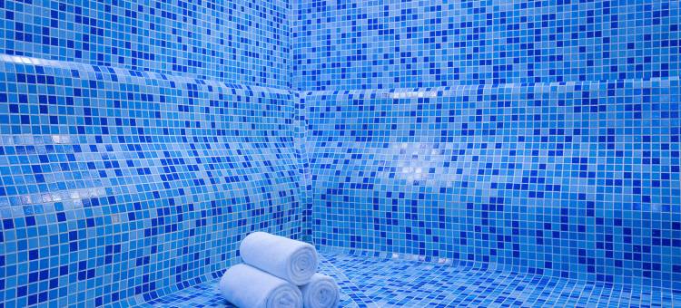 圣彼得堡桑娅丽笙酒店(Radisson Sonya Hotel Saint Petersburg)图片