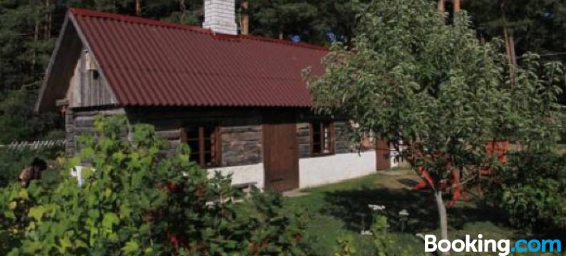 曼尼夏季度假屋(Männi Summerhouse)图片