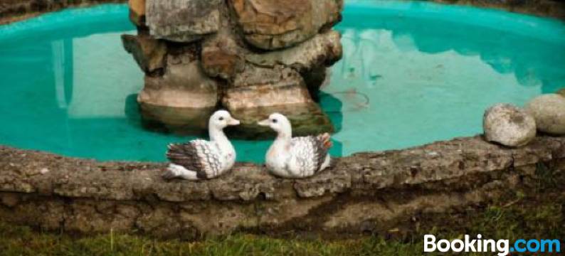 Gästehaus Kirner - Bad Feilnbach图片