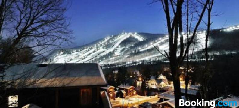 Chalets Alpins -09 Chemin Alpin图片