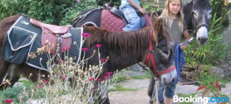 克洛斯杜泰住宿加早餐旅馆(Le Clos du Tay)图片