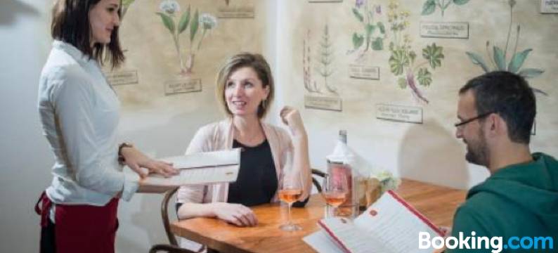 舒玛瓦酒店(Hotel Šumava)图片