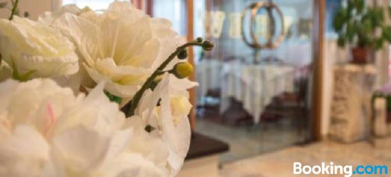 威斯安德酒店(Hotel West End)图片