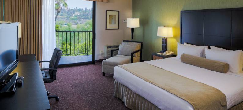 皇冠假日- 圣地亚哥(Crowne Plaza SAN DIEGO - MISSION VALLEY by IHG)图片