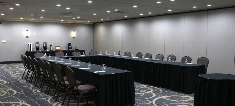 Holiday Inn 芝加哥OAKBROOK(Holiday Inn Chicago Oakbrook)图片