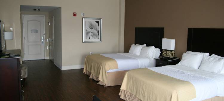 Holiday Inn 梅肯北(Holiday Inn MACON NORTH by IHG)图片