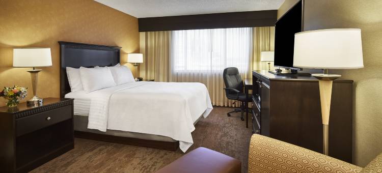 亚历山德里亚凯雷假日酒店(Holiday Inn Alexandria - Carlyle)图片