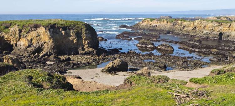 布拉格堡海鸟小屋-马格努森酒店集团(Seabird Lodge Fort Bragg)图片
