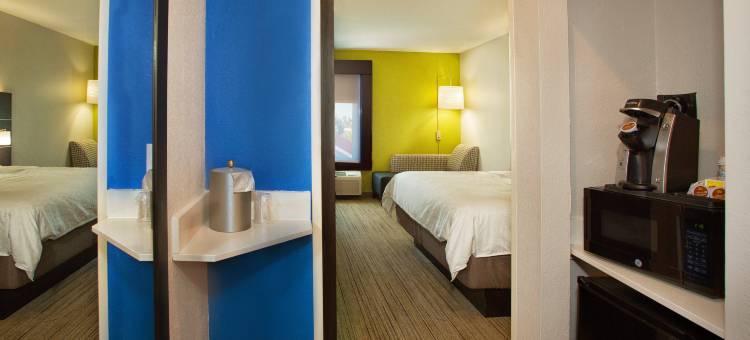 洲际酒店集团智选假日酒店及套房夏洛特港(Holiday Inn Express & Suites Port Charlotte, an IHG Hotel)图片