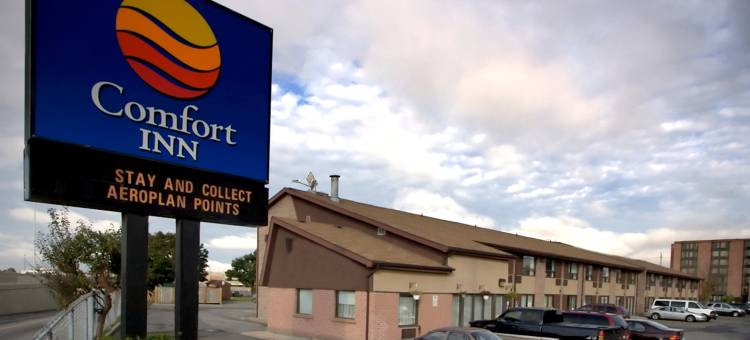 舒适酒店(Comfort Inn)图片