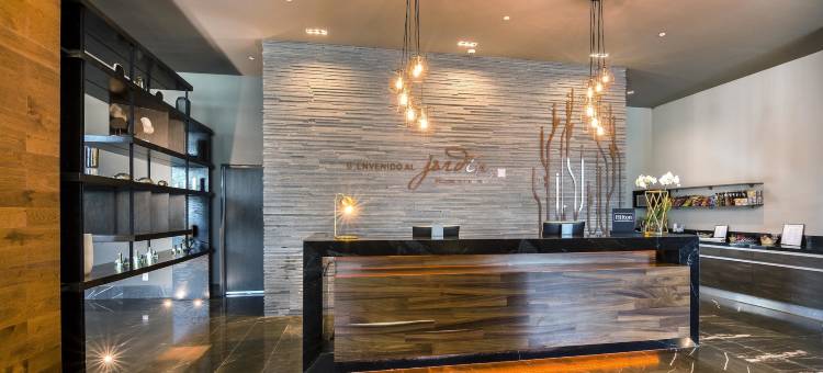 希尔顿花园酒店-阿瓜斯卡连特斯(Hilton Garden Inn Aguascalientes)图片