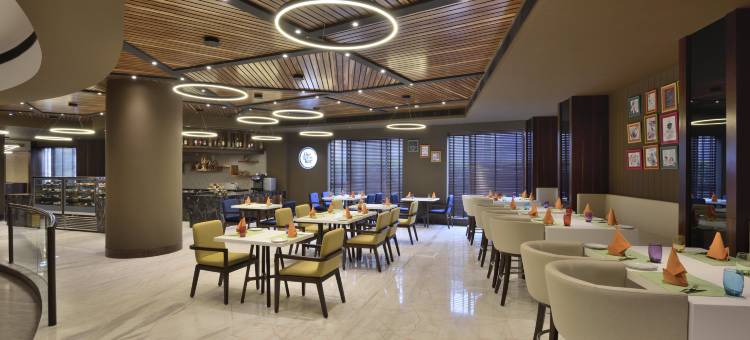 古尔冈优迪格豪尔丽筠酒店(Radisson Gurugram Udyog Vihar)图片