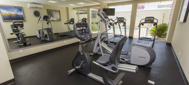 瓜达拉哈拉机场智选假日酒店(Holiday Inn Express Guadalajara Aeropuerto)图片