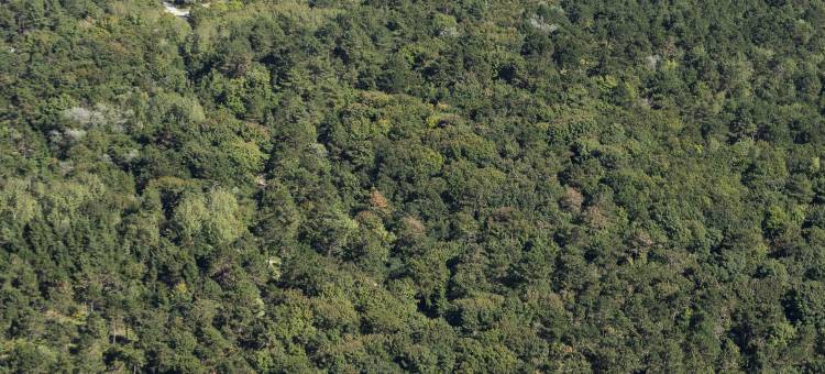 弗莱彻酒店(Fletcher Hotel Restaurant de Witte Raaf)图片