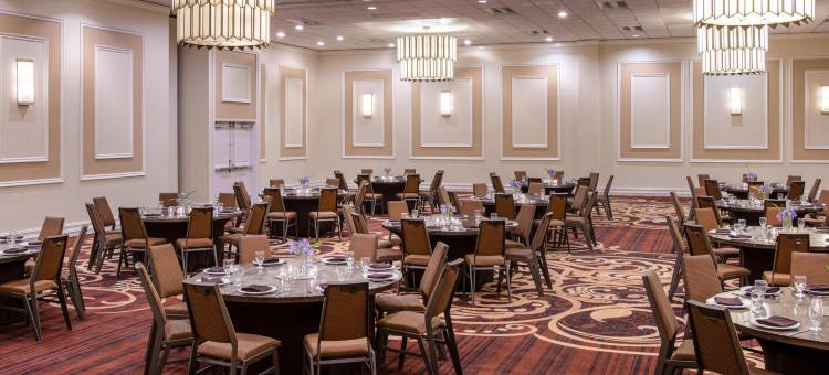 圣迭戈使命谷喜来登酒店(Sheraton Mission Valley San Diego Hotel)图片