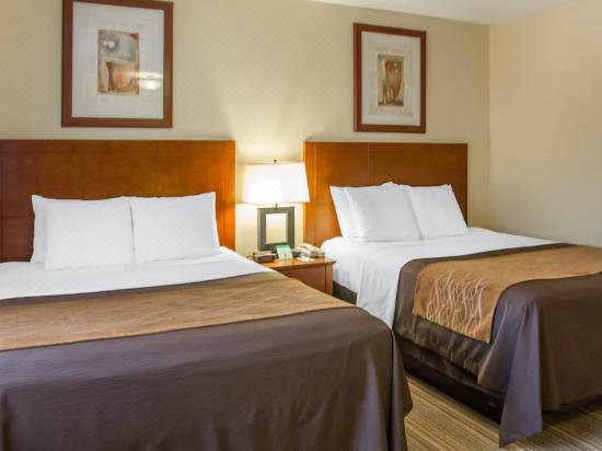 Comfort Inn Cockatoo Near Lax Airport Hotel Reviews And Room