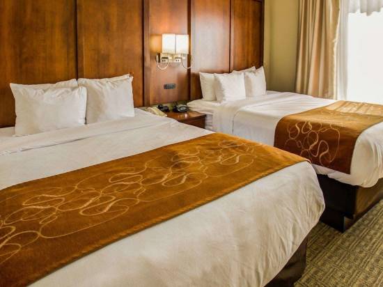Comfort Suites Georgetown Hotel Reviews And Room Rates