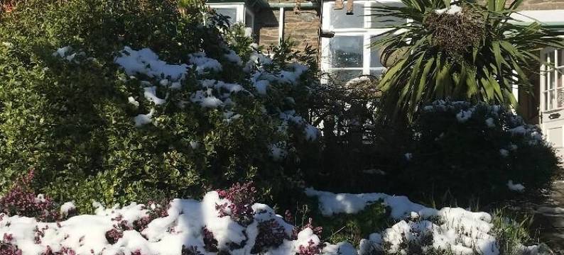 李府旅馆(Lee House)图片