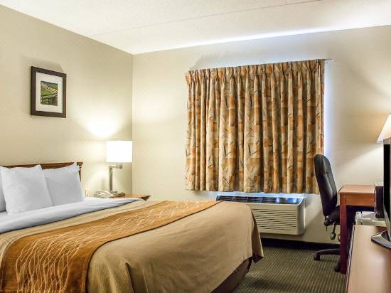 Comfort Inn Suites Wilkes Barre Arena Wilkes Barre Hotel