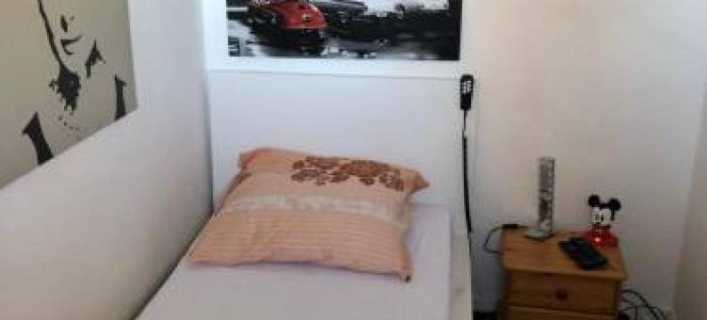 Hannover Messe Apartment图片