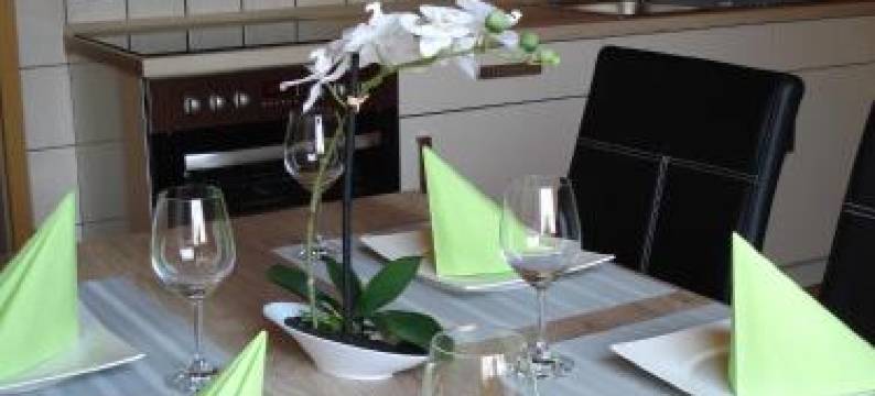 韦伯公寓酒店(Apartment Weber)图片