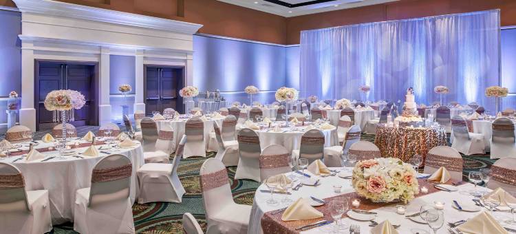 奥兰多加勒比皇家酒店(Caribe Royale Orlando)图片