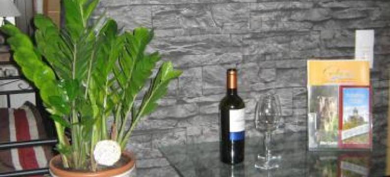 Apartment Mosel-Götterlay图片