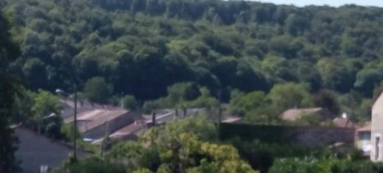 My Tasse de Thé图片