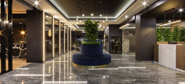 诗铂堪培拉思域酒店(The Sebel Canberra Civic)图片