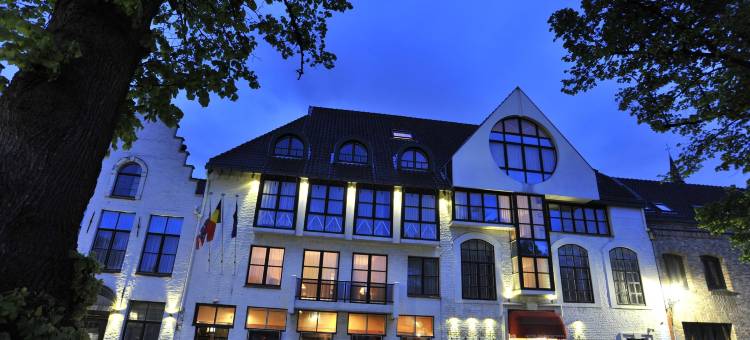 德美第奇金色郁金香酒店(Golden Tulip Hotel de Medici)图片