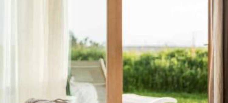 拉格里兰德斯生态酒店及伊夫黎雪Spa(La Gree des Landes - Eco-Hotel-Spa Yves Rocher)图片