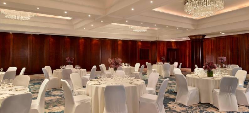 布达佩斯哈布图宫殿酒店 (前丽思卡尔顿酒店)(Al Habtoor Palace Budapest)图片